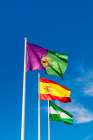 Malaga, Andalusia and national flags at the Alcazaba and Castle of Gibralfaro, Malaga, Spain. Art Print